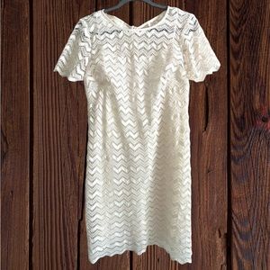 LOFT Ann Taylor Chevron Lace Dress Size 6